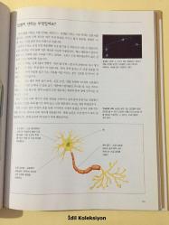 Multi-Subject Junior Library 22 - Jounier La Brerley'in İnsan Vücudu - Kyowon - Korece Ders Kitabı