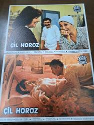 Çil Horoz Filmi  - Lobi Kart Seti  - Lobby Cards Set  - Hülya Avşar- Selçuk Özer - Tulu Çizgen- Savaş Yurttaş- Sedat Savtak- Ayla Algan - Oktay Fırat- Süreyya Duru- Murat Film- Süreyya Duru- 16'lı Set