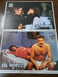 Çil Horoz Filmi  - Lobi Kart Seti  - Lobby Cards Set  - Hülya Avşar- Selçuk Özer - Tulu Çizgen- Savaş Yurttaş- Sedat Savtak- Ayla Algan - Oktay Fırat- Süreyya Duru- Murat Film- Süreyya Duru- 16'lı Set