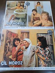 Çil Horoz Filmi  - Lobi Kart Seti  - Lobby Cards Set  - Hülya Avşar- Selçuk Özer - Tulu Çizgen- Savaş Yurttaş- Sedat Savtak- Ayla Algan - Oktay Fırat- Süreyya Duru- Murat Film- Süreyya Duru- 16'lı Set