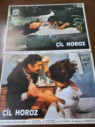 Çil Horoz Filmi  - Lobi Kart Seti  - Lobby Cards Set  - Hülya Avşar- Selçuk Özer - Tulu Çizgen- Savaş Yurttaş- Sedat Savtak- Ayla Algan - Oktay Fırat- Süreyya Duru- Murat Film- Süreyya Duru- 16'lı Set