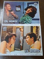 Çil Horoz Filmi  - Lobi Kart Seti  - Lobby Cards Set  - Hülya Avşar- Selçuk Özer - Tulu Çizgen- Savaş Yurttaş- Sedat Savtak- Ayla Algan - Oktay Fırat- Süreyya Duru- Murat Film- Süreyya Duru- 16'lı Set