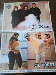 Çil Horoz Filmi  - Lobi Kart Seti  - Lobby Cards Set  - Hülya Avşar- Selçuk Özer - Tulu Çizgen- Savaş Yurttaş- Sedat Savtak- Ayla Algan - Oktay Fırat- Süreyya Duru- Murat Film- Süreyya Duru- 16'lı Set