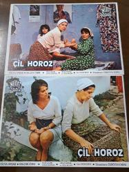 Çil Horoz Filmi  - Lobi Kart Seti  - Lobby Cards Set  - Hülya Avşar- Selçuk Özer - Tulu Çizgen- Savaş Yurttaş- Sedat Savtak- Ayla Algan - Oktay Fırat- Süreyya Duru- Murat Film- Süreyya Duru- 16'lı Set