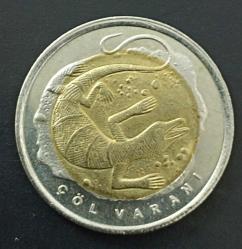 # Anadolu'ya Özgü Hayvanlar Serisi Çöl Varanı #