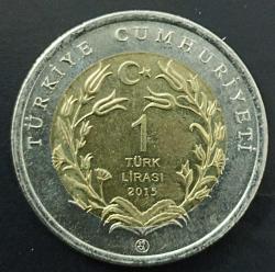 # Anadolu'ya Özgü Hayvanlar Serisi Çöl Varanı #