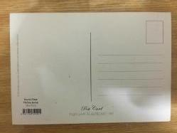 Türkan Şoray,Kartal Tibet Siyah Beyaz Fotoğrafı Yeşilçam, Film Sinema Tarihi Sinemamızın Sultanı Posta Kartı 11x15 cm