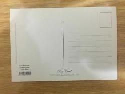 Türkan Şoray,Tarık Akan Siyah Beyaz  Fotoğrafı Yeşilçam, Film Sinema Tarihi Sinemamızın Sultanı Posta Kartı 11x15 cm