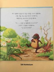 Swim , Litle Wombat , Swim - Charles Fuge - Korea Piaget - Korece Hikaye , Masal Kitabı