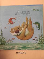 Swim , Litle Wombat , Swim - Charles Fuge - Korea Piaget - Korece Hikaye , Masal Kitabı
