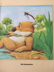 Swim , Litle Wombat , Swim - Charles Fuge - Korea Piaget - Korece Hikaye , Masal Kitabı