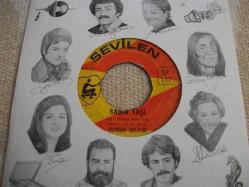 53 -  DURSUN SALKIM - Sabır taşı - Aşık olan deli midir?