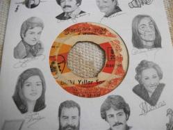 53 -  DURSUN SALKIM - Belki yıllar sonra - Bu ne biçim aşk böyle