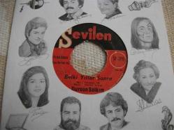 53 -  DURSUN SALKIM - Belki yıllar sonra - Bu ne biçim aşk böyle