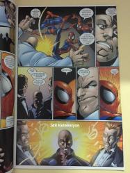 Ultimate Spider-Man (Örümcek Adam) - Sayı 10 - KingPin - Arka Bahçe Yayıncılık - 2002 - Türkçe Çizgi Roman