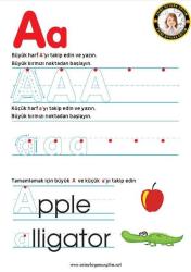 Okul Öncesi Eğlenceli Alfabe-Sayılar YAZ-SİL Kitabı