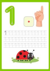 Okul Öncesi Eğlenceli Alfabe-Sayılar YAZ-SİL Kitabı