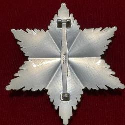 İKİNCİ DÜNYA SAVAŞI NAZİ ALMANYASI MADALYA WW2 ( Order of Merit of the German Eagle )
