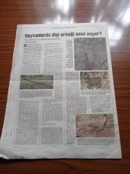 Cumhuriyet Bilim Teknik Gazetesi - 29 Haziran 1996- Sayı 484- Tekerlekli  Bina - Ozon Tabakasını Koruma Seminerleri - 2. Balkan İnsan Genetiği Konferansı -Evrenin Yaşı Üzerine Uzlaşma - Dişi Erkeği Nasıl Seçer - Sigara Hamileliği Etkisi - Kozmoloji Nasıl Gelişti - Maymunların En Büyük Kurbanı Sivil Halk