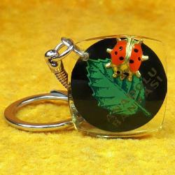 RETRO ANADOLU BANKASI UĞUR BÖCEKLİ ANAHTARLIK