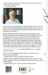 Sufi Terapistin Sohbet Günlüğü