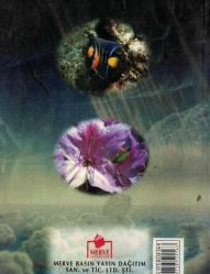 İzahlı Rüya Tabirleri