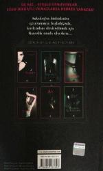 Yanmış Bir Gece Evi Romanı