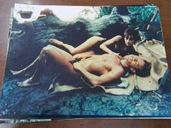 Tarzan -X  Filmi - Yabancı - Renkli - Lobi Kartı - Lobby Cards  - 9'lu Set - Sbame Of Jane - Capital Film- Joe D'amato - Rocco Siffredi - Rosa Caracciolo - Nikita Gross - Attila Schulter - Swetta Silvestru - Cintya Raffael - Barbara Dobson - Zotan Kabay Tao - Joe D'amato