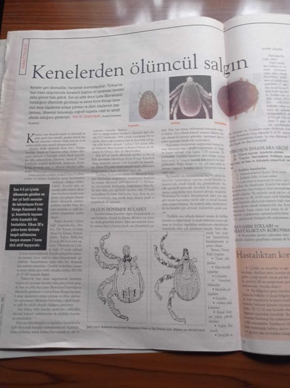 Cumhuriyet Bilim Teknoloji Gazetesi 1 Haziran 2007 Sayı 1054  