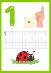 Okul Öncesi Sayılar Matematiğe Giriş YAZ-SİL Kitabı