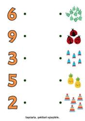 Okul Öncesi Sayılar Matematiğe Giriş YAZ-SİL Kitabı