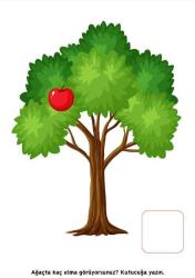 Okul Öncesi Sayılar Matematiğe Giriş YAZ-SİL Kitabı