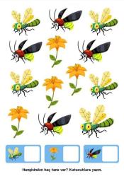 Okul Öncesi Sayılar Matematiğe Giriş YAZ-SİL Kitabı