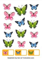 Okul Öncesi Sayılar Matematiğe Giriş YAZ-SİL Kitabı