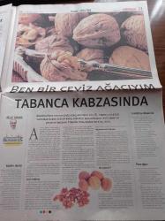 Milliyet Business Gazetesi - 31 Ağustos 2003 - Sayı 7 -  İlk Sucumuz Hamidiye'di - Mudo'nun Sahibi Mustafa Taviloğlu Ağlarını Attı - Maradona - İshak Alaton'dan Uzeyir Garih'e Mektup -Recep Tayyip Erdoğan Fotoğrafı - Remzi Gür - Cüneyd Zapsu- Cihan Kamer - Münci İnci - Mustafa Albayrak - AKP'nin Siyaset Akademisini Murat Yalçıntaş Yönetiyor