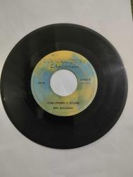 Ağlarım - Vino dinero e amore / Erol BÜYÜKBURÇ  - Plak