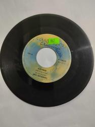 Ağlarım - Vino dinero e amore / Erol BÜYÜKBURÇ  - Plak