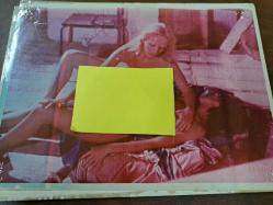 Ateşli Kızlar  Yabancı Film - Renkli - Lobi Kartı - Lobby Cards  - 3'lü Set