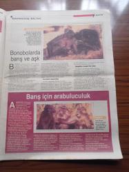 Hürriyet Bilim Teknoloji Gazetesi - 1 Haziran 2002 - Sayı 21 - İnsan Mı Politik Hayvan Şempanze Mi Politik İnsan - Jacques Chirac -  Kalp Krizine Karşı İki Kadeh Şarap - Camilerdeki Eşsiz Akustik Korunacak - Kutup Karidesi Keşfedildi - Dinazorların Yok Oluş Sırrı Aydınlanıyor Mu- Yarım Beyinle İki Lisan - Dünya Neden Venüs Olmuyor - Timsahlarda Yeni Bir Duyu Keşfedildi