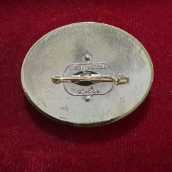 WW2 Nazi Almanyası Dağcı Madalyası