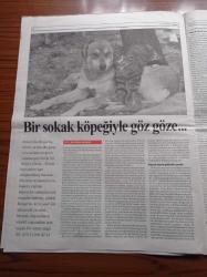 Cumhuriyet Dergi Gazetesi - 22 Aralık 1996 - Sayı 561 - 14 Numara Filmi - Müjde Ar - Selçuk Özer - Sinan Çetin - Brigitte Bardot - Sezen Aksu - Koşulsuz Sevgi Barınağı - Bilgesu Erenus - Genelev Sokağı'nda Bir Pazar Günü- Daniel Day Lewis - Cadılardan Yana Bir Film - Berlin'de Ruhlar Var