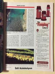 Tropical Fish Hobbyist Magazine - December 1993 - Vintage Magazine - İngilizce Tropikal Balık Hobisi Dergisi - Perspectives on the Hobby from a Tropical - Amazon Discovery a New Discus Color Form - Gone Fishing : Anglerfishes - Secrets of the Musandam - Two Small Angelfishes for the Reef - Genetics for Aquarits - The World's Oldest Anchovy - The Temperate Movement