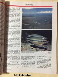 Tropical Fish Hobbyist Magazine - December 1993 - Vintage Magazine - İngilizce Tropikal Balık Hobisi Dergisi - Perspectives on the Hobby from a Tropical - Amazon Discovery a New Discus Color Form - Gone Fishing : Anglerfishes - Secrets of the Musandam - Two Small Angelfishes for the Reef - Genetics for Aquarits - The World's Oldest Anchovy - The Temperate Movement