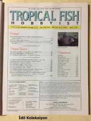 Tropical Fish Hobbyist Magazine - April 1996 - Vintage Magazine - İngilizce Tropikal Balık Hobisi Dergisi - The Forktail Checkerboard Cichlid Crenicara filamentosa - The Black Ghost - The French Angelfish - The Brown Rockhopper - A Tropical Odyssey Through Costa Rica - Fossil Surgeonfishes - Care of the Eastern Chain Kingsnake