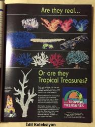 Tropical Fish Hobbyist Magazine - April 1996 - Vintage Magazine - İngilizce Tropikal Balık Hobisi Dergisi - The Forktail Checkerboard Cichlid Crenicara filamentosa - The Black Ghost - The French Angelfish - The Brown Rockhopper - A Tropical Odyssey Through Costa Rica - Fossil Surgeonfishes - Care of the Eastern Chain Kingsnake