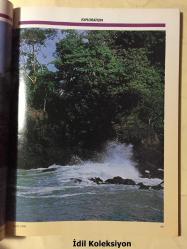 Tropical Fish Hobbyist Magazine - April 1996 - Vintage Magazine - İngilizce Tropikal Balık Hobisi Dergisi - The Forktail Checkerboard Cichlid Crenicara filamentosa - The Black Ghost - The French Angelfish - The Brown Rockhopper - A Tropical Odyssey Through Costa Rica - Fossil Surgeonfishes - Care of the Eastern Chain Kingsnake