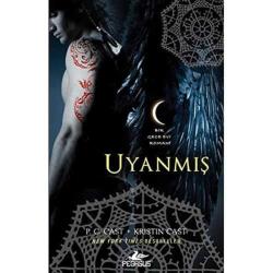 Uyanmış Bir Gece Evi Romanı