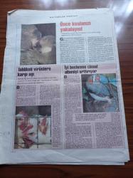 Cumhuriyet Bilim Teknik Gazetesi - 22 Şubat 1997 - Sayı 518 -  Titanyumun Üstünlüğü Tartışılmaz - 2. Ulusal Toksikoloji Kongresi - Türkçe İnternet Dergisi - Jurassic   Park Korku Romanı Değildir - Felsefe Mühendisliği Ve Türkiye'de Felsefe -Grete'nin 100. Doğum Günü Partisi - Ay Nasıl Oluştu - Nasrettin Hoca Ve Sin'in Kasesi - Bilim Şenliği