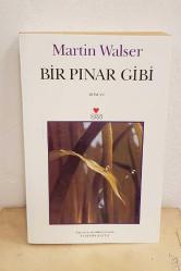 BİR PINAR GİBİ