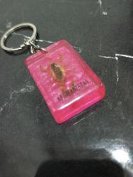 Çok nadir içinde Gerçek , dondurulmuş akrep  bulunan el yapımı anahtarlık.Alt kısmında Afganistan yazılı .